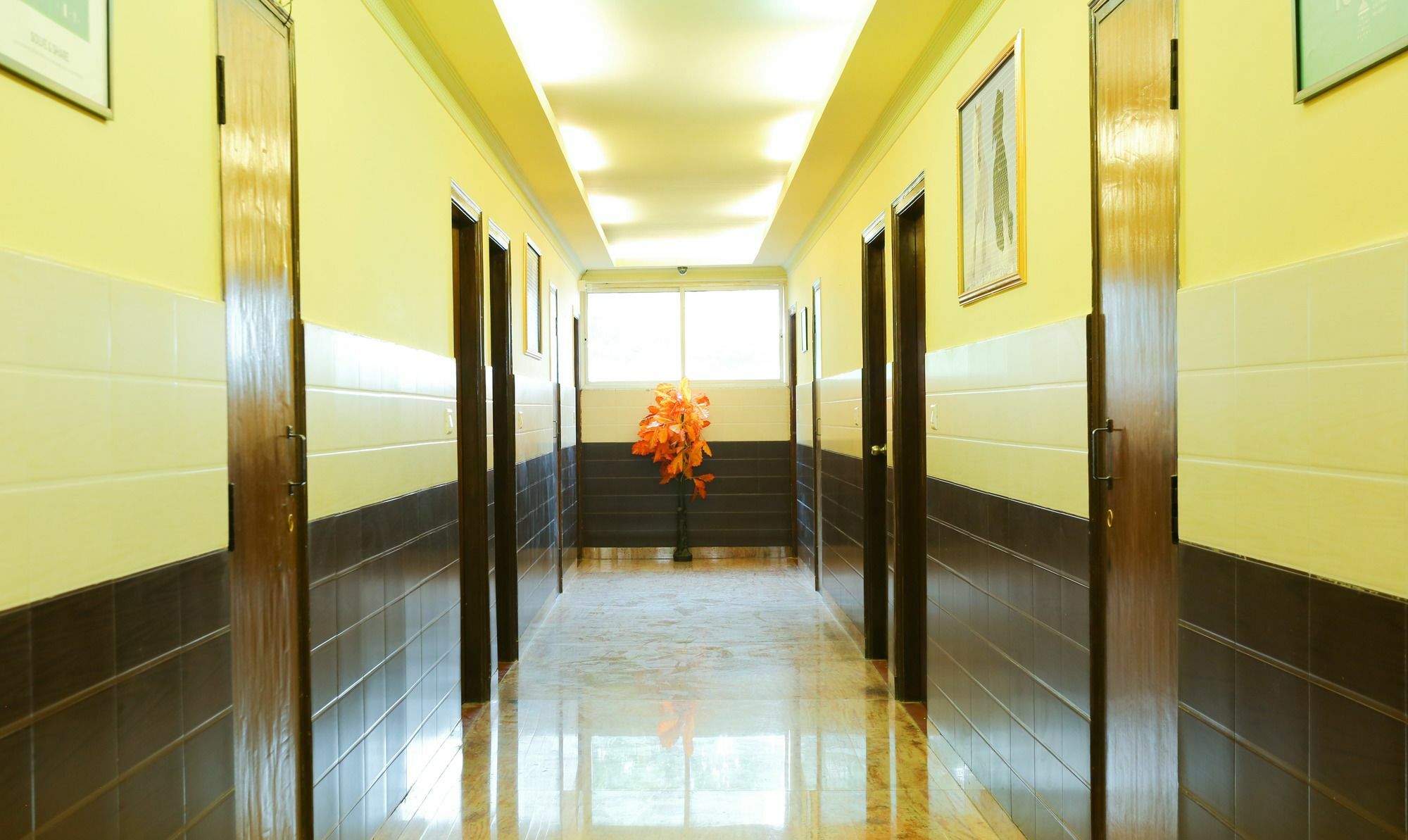 Hotel Treebo Trip Grand Regency Bangalore Exterior foto